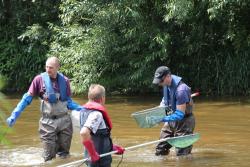 In der Schussen fischt man im Trüben