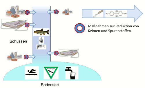 Aufgaben und Ziele